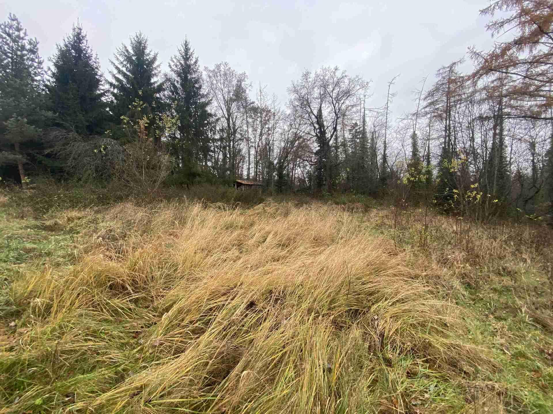 Prodej pozemků Potěhy