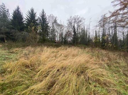 Prodej pozemku, zahrada, 1 589 m²