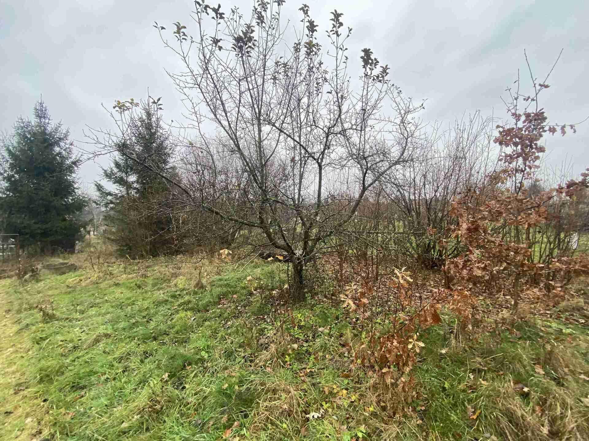 Prodej pozemků Potěhy