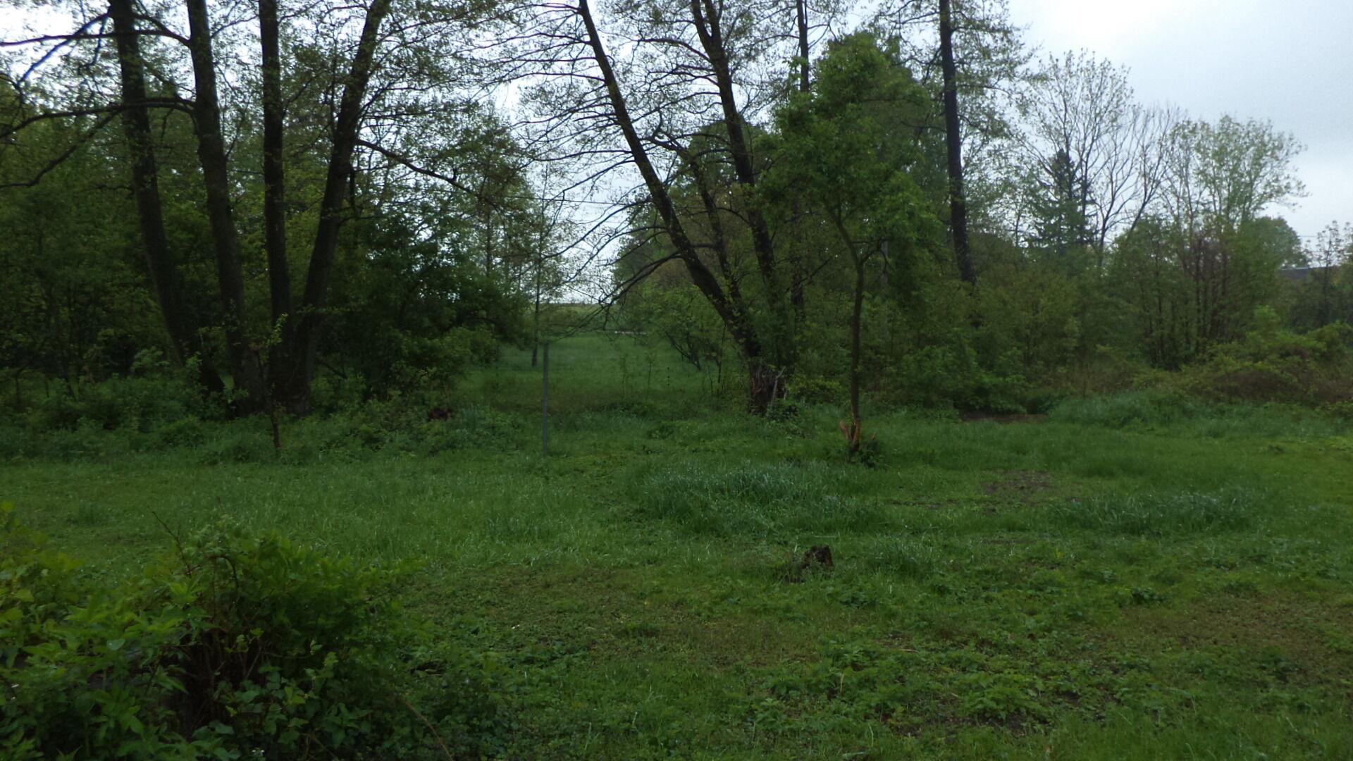 Prodej pozemku Vlčice u Javorníka, obec Vlčice