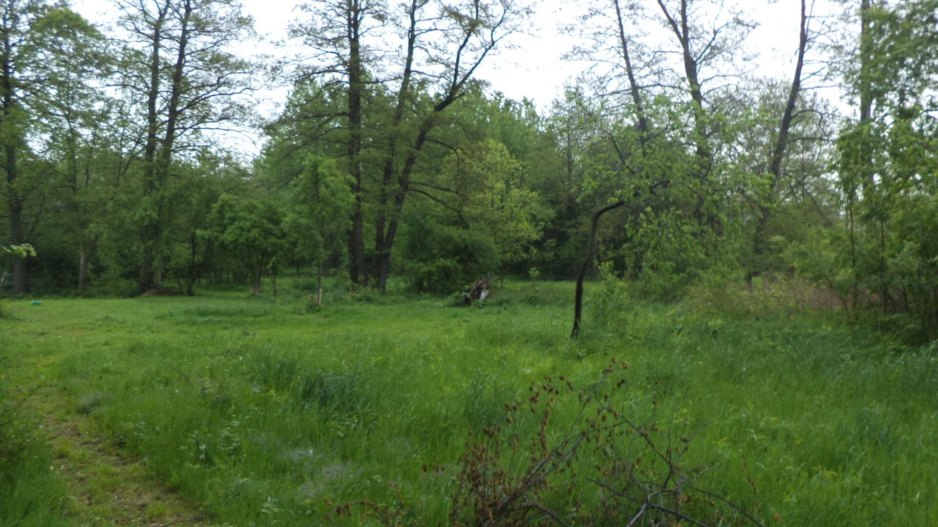 Prodej pozemku Vlčice u Javorníka, obec Vlčice