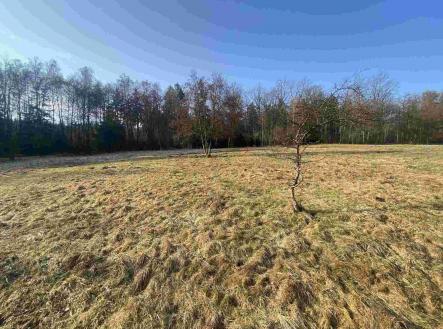 Prodej pozemku, zemědělská půda, 5 206 m²