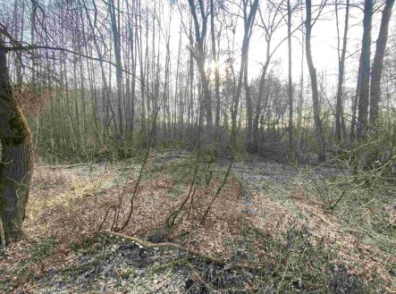 Prodej pozemku, zemědělská půda, 1 873 m²