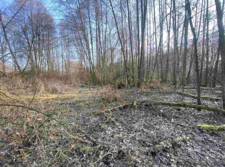 Prodej pozemku, zemědělská půda, 1 873 m²