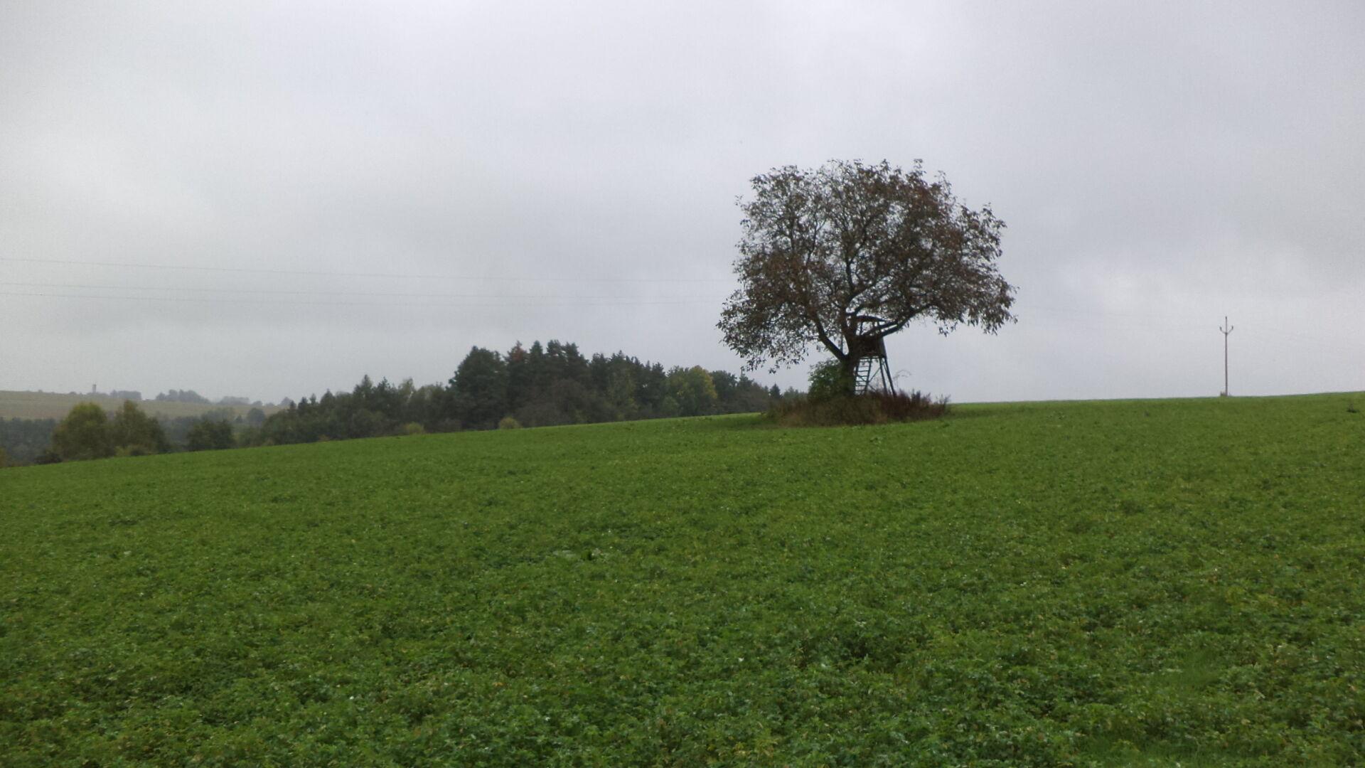 Prodej pozemků Nové Hrady u Skutče