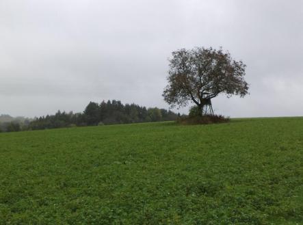 Prodej pozemku, ostatní, 2 679 m²