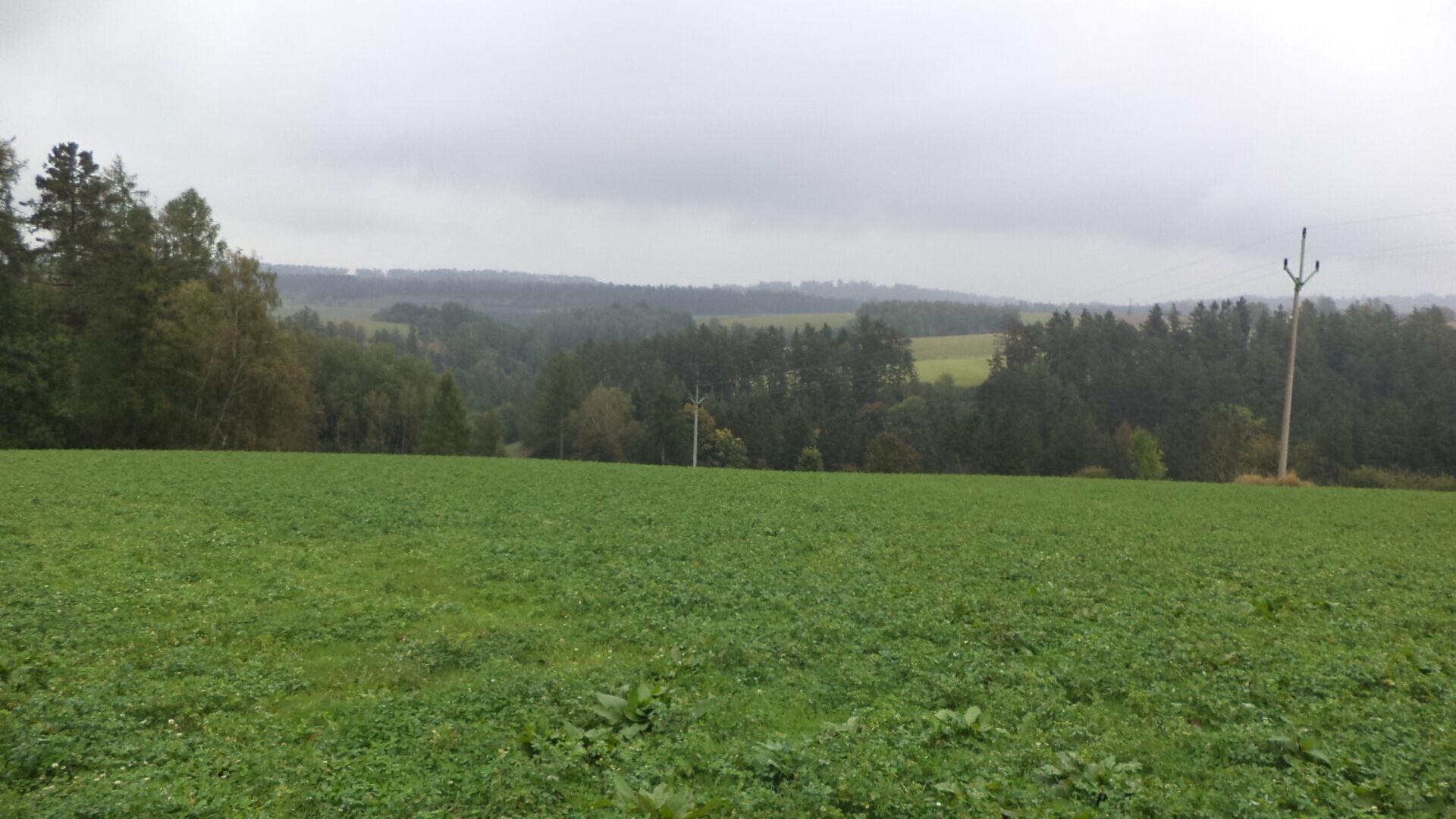 Prodej pozemků Nové Hrady u Skutče