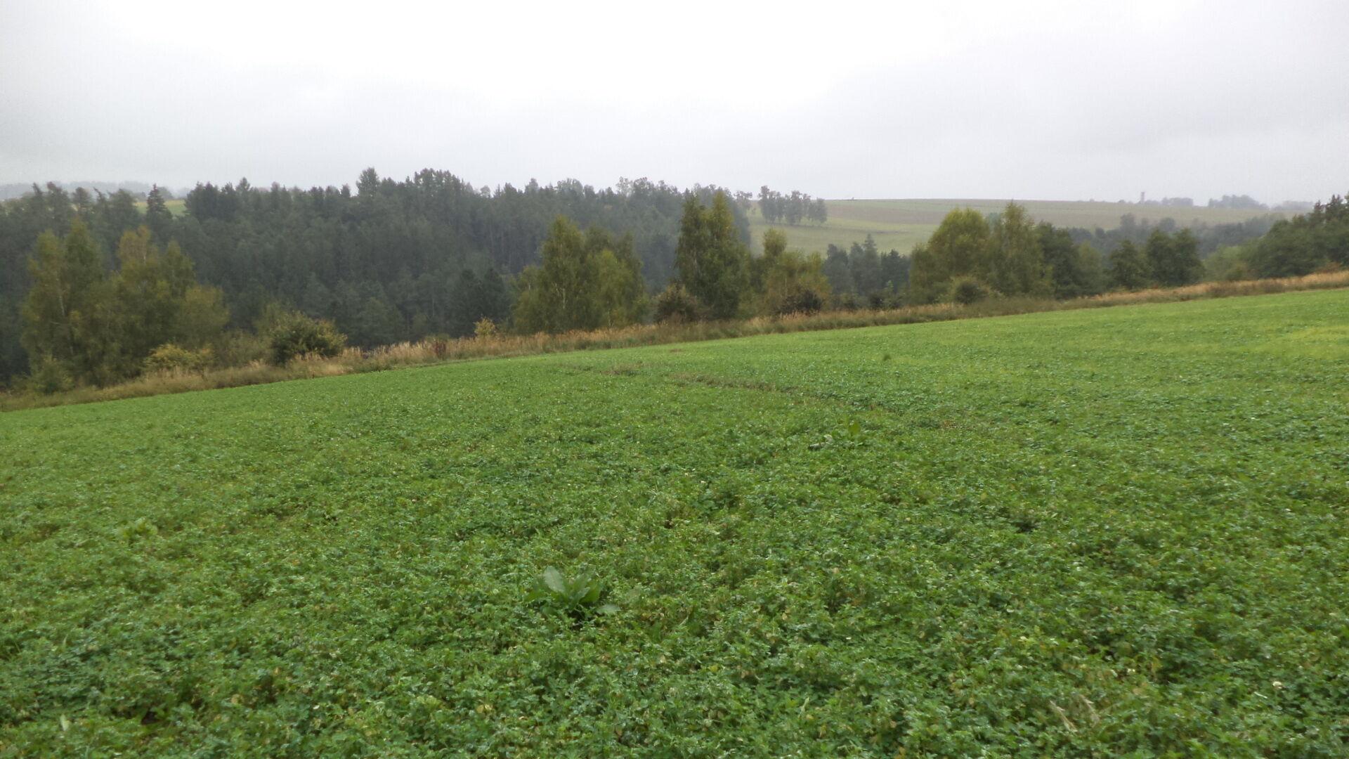 Prodej pozemků Nové Hrady u Skutče