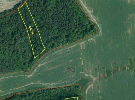 Prodej pozemku, les, 23 659 m²