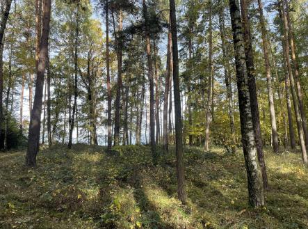 Prodej pozemku, les, 23 659 m²