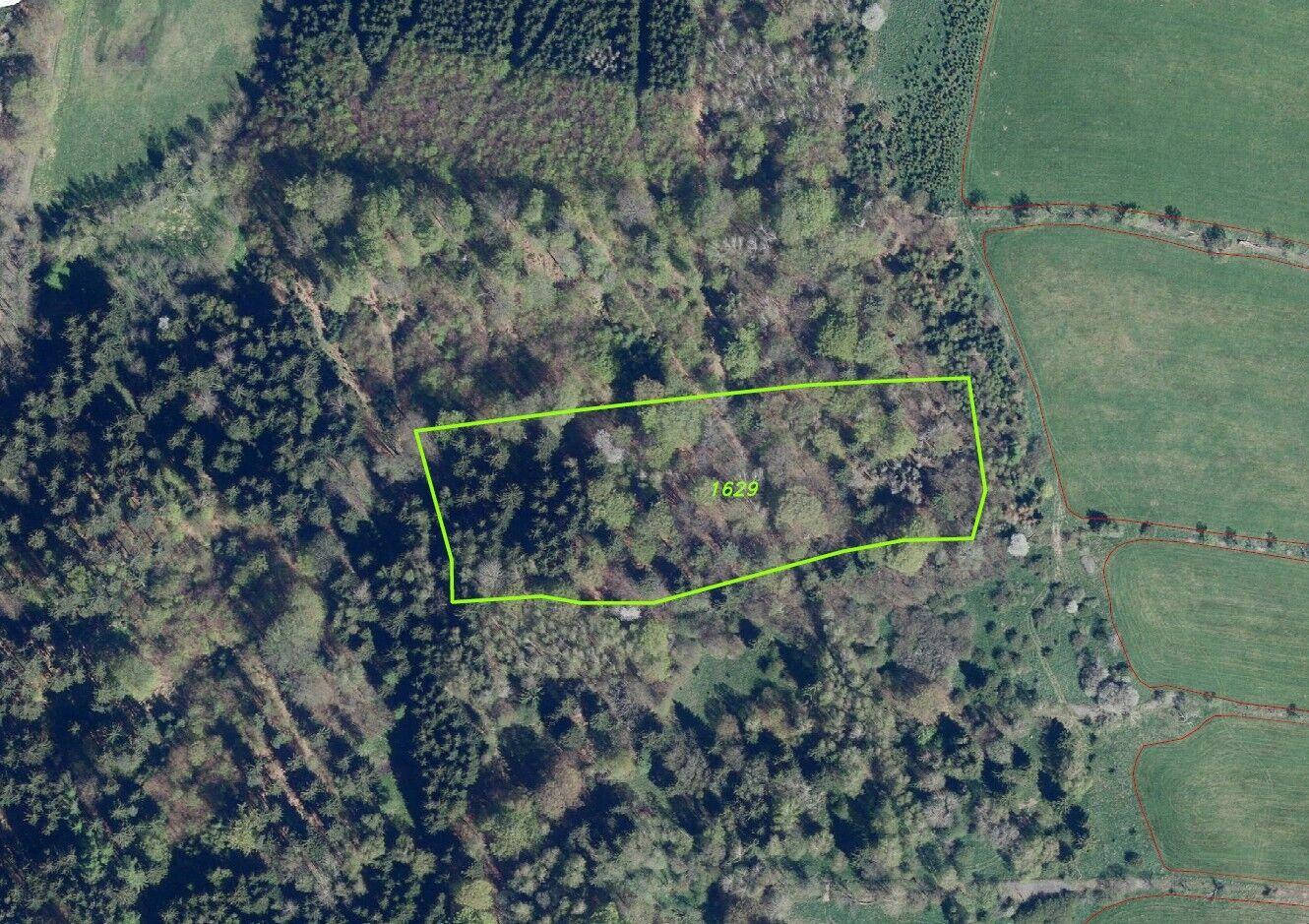 dražba pozemku Petrovice u Chabařovic