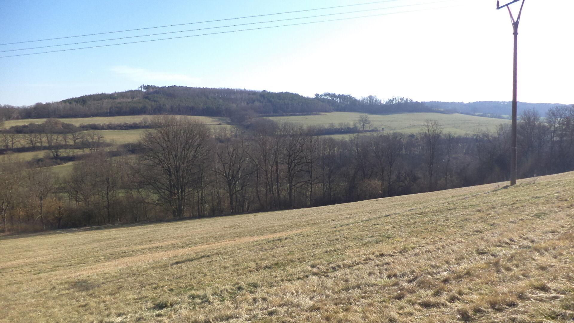 dražba pozemku Rochov u Tetčiněvsi