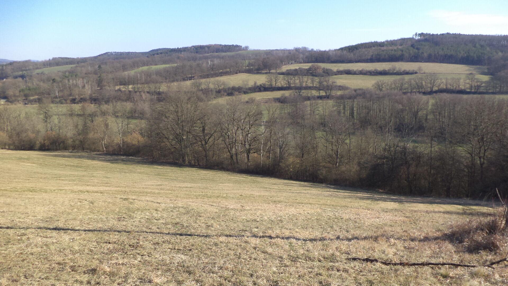 dražba pozemku Rochov u Tetčiněvsi