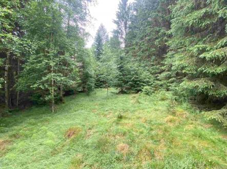 Prodej pozemku, zemědělská půda, 10 460 m²