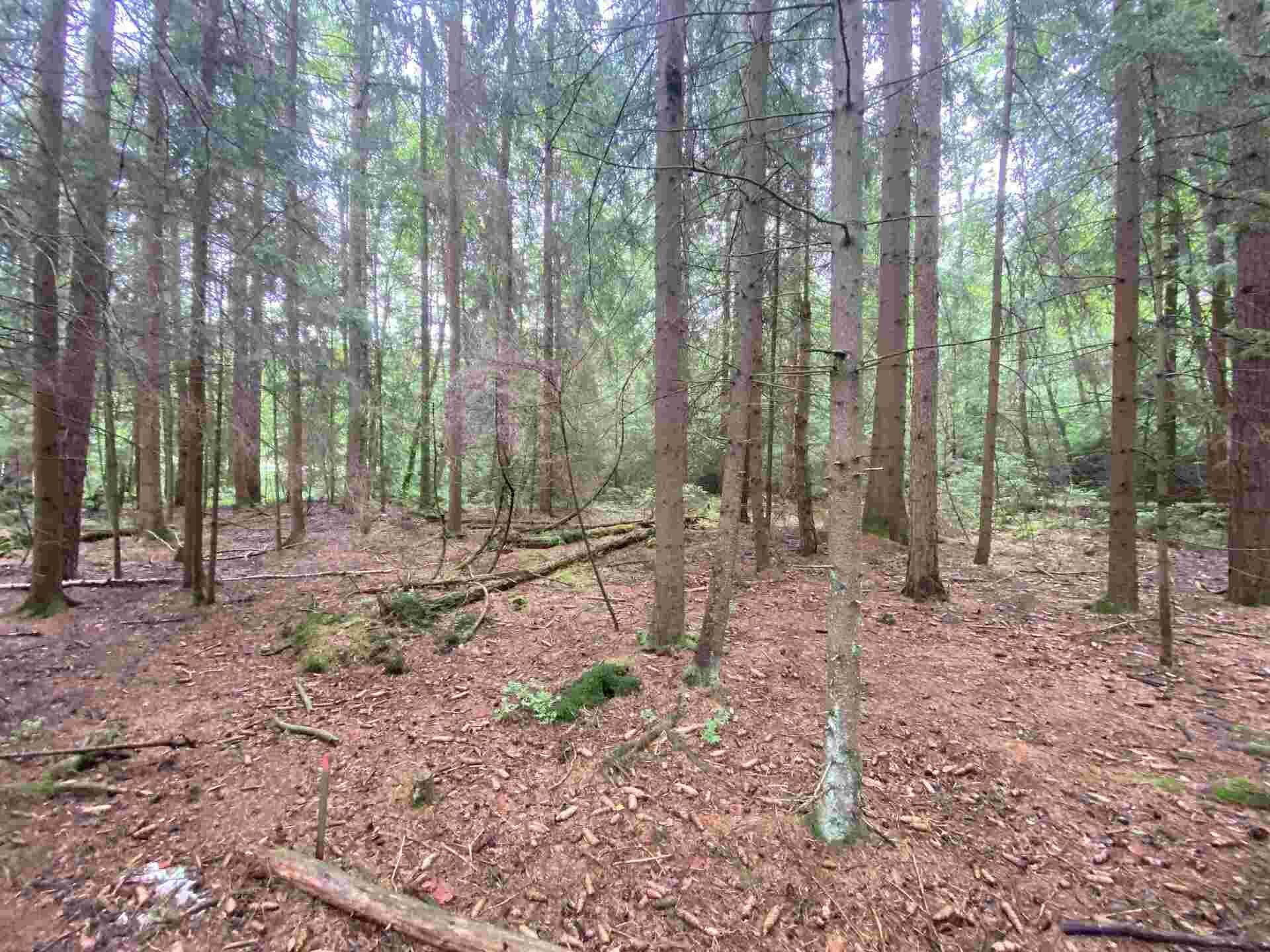 dražba pozemku Újezd u Krásné