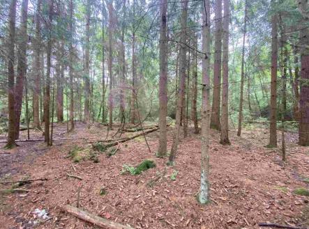 Prodej pozemku, zemědělská půda, 10 460 m²