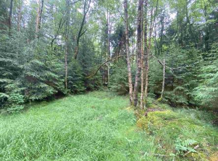 Prodej pozemku, zemědělská půda, 10 460 m²