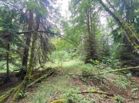 Prodej pozemku, zemědělská půda, 10 460 m²