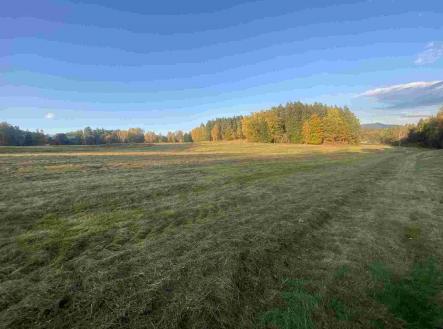 Prodej pozemku, zemědělská půda, 7 470 m²