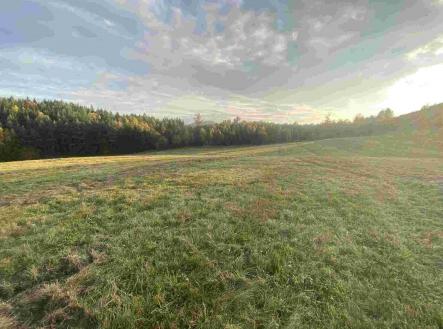 Prodej pozemku, zemědělská půda, 7 470 m²