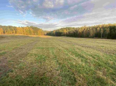 Prodej pozemku, zemědělská půda, 7 470 m²