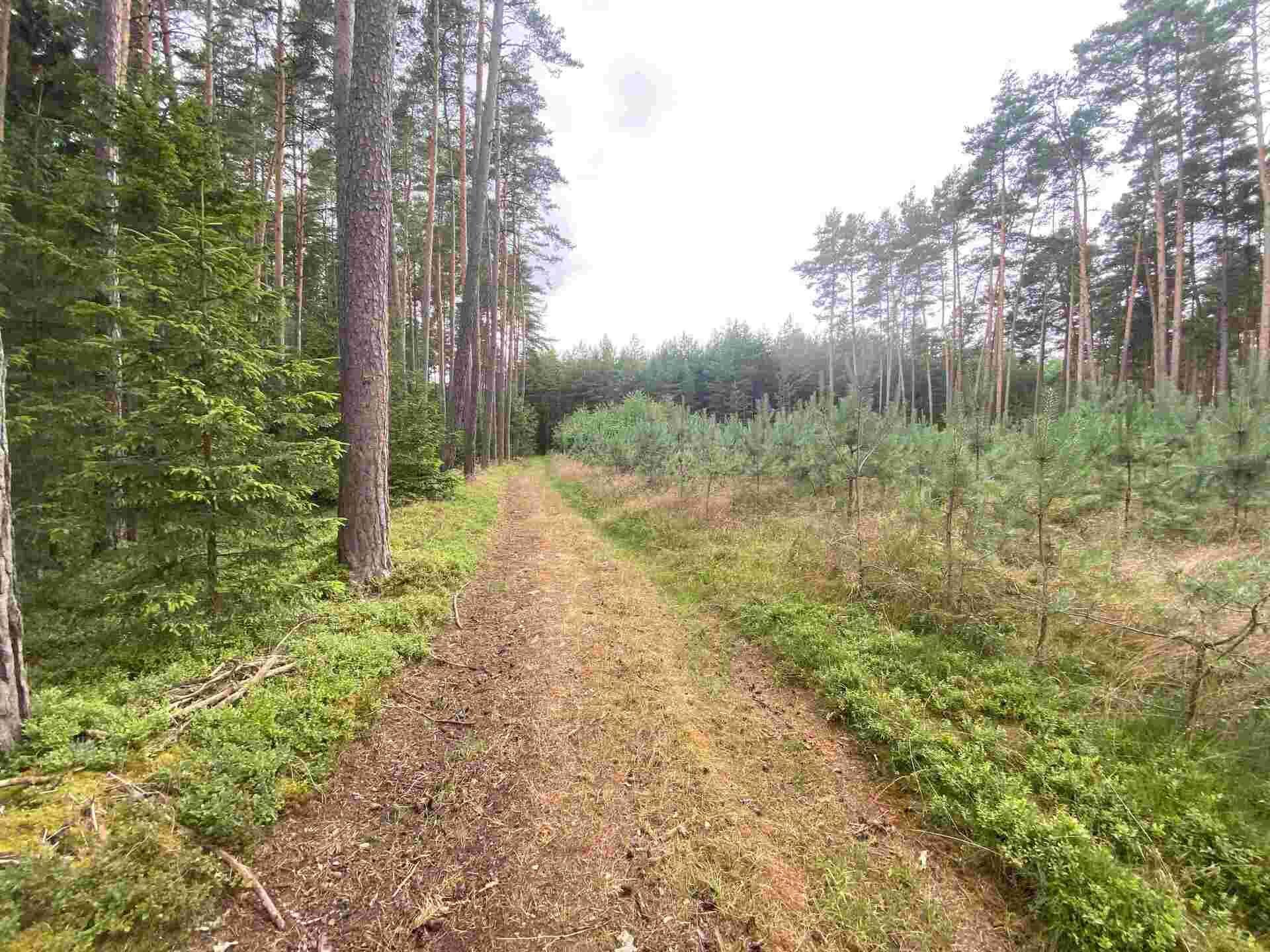 dražba pozemku k.ú. Tuněchody u Stříbra