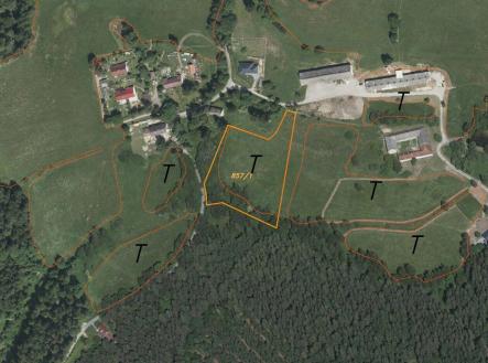 Prodej pozemku, zemědělská půda, 8 071 m²