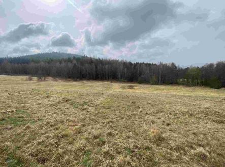 Prodej pozemku, zemědělská půda, 8 071 m²