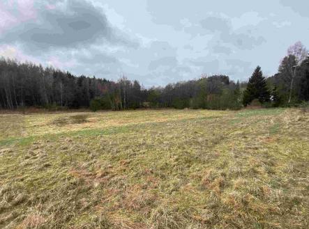 Prodej pozemku, zemědělská půda, 8 071 m²