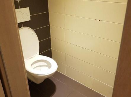 Pronájem obchodní prostor