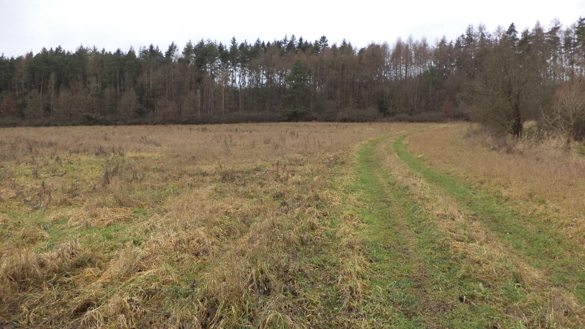 prodej pozemků Srby nad Úslavou