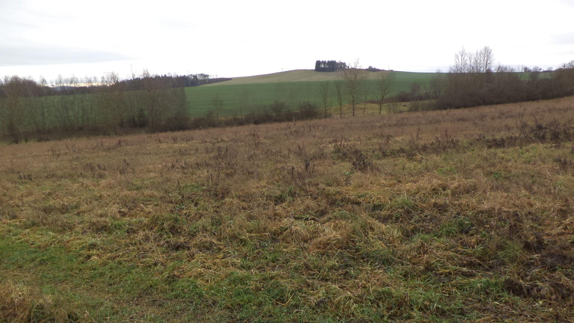 prodej pozemků Srby nad Úslavou