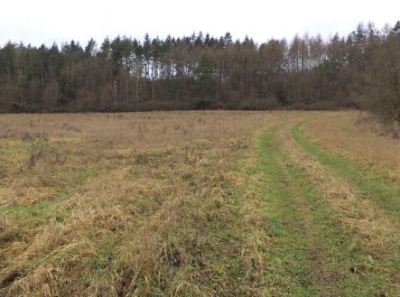 Prodej pozemku, zemědělská půda, 7 890 m²