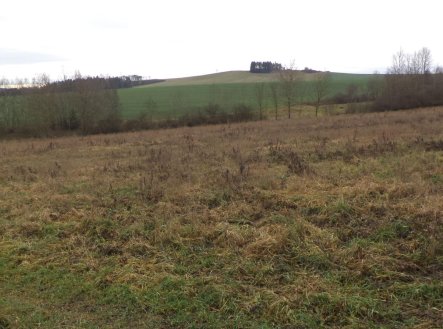 Prodej pozemku, zemědělská půda, 7 890 m²