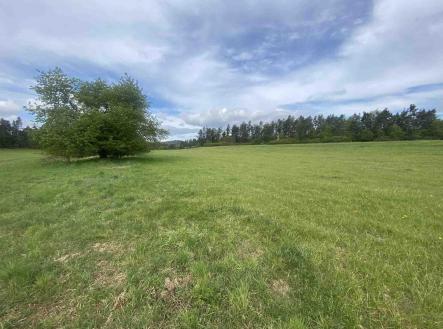 Prodej pozemku, zemědělská půda, 11 969 m²