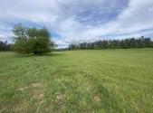 Prodej pozemku, zemědělská půda, 11 969 m²