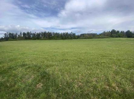 Prodej pozemku, zemědělská půda, 11 969 m²