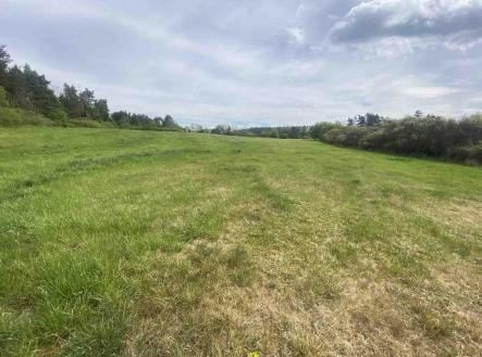 Prodej pozemku, zemědělská půda, 11 969 m²