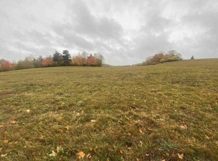 Prodej pozemku, zemědělská půda, 5 380 m²