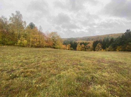 Prodej pozemku, zemědělská půda, 5 380 m²