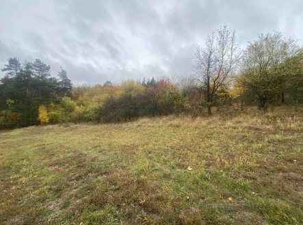 Prodej pozemku, zemědělská půda, 5 380 m²
