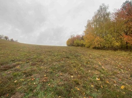 Prodej pozemku, zemědělská půda, 5 380 m²