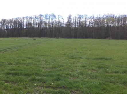 Prodej pozemku, zemědělská půda, 2 609 m²