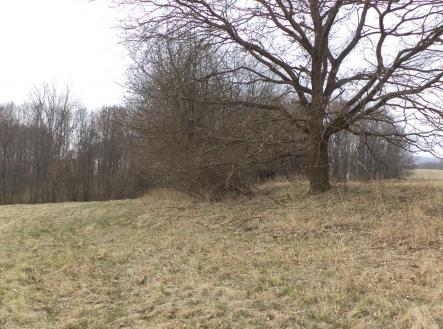 Prodej pozemku, zemědělská půda, 939 m²