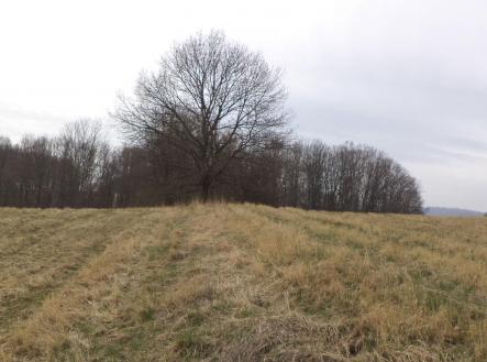 Prodej pozemku, zemědělská půda, 939 m²
