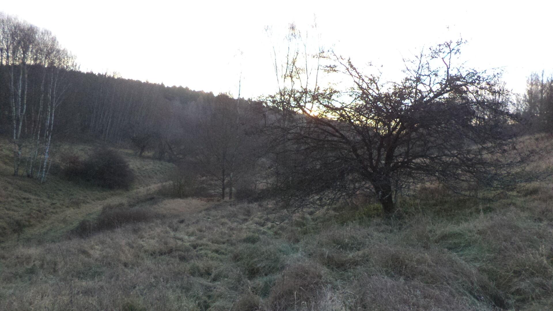 dražba pozemku Skalka u Blíževedel