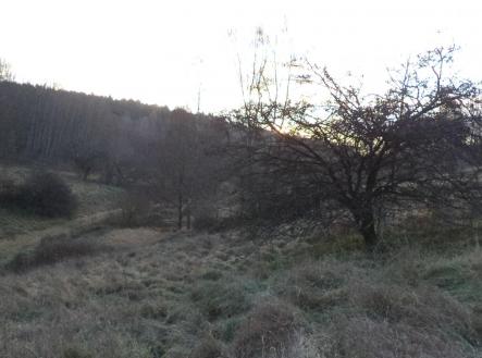 Prodej pozemku, zemědělská půda, 2 887 m²