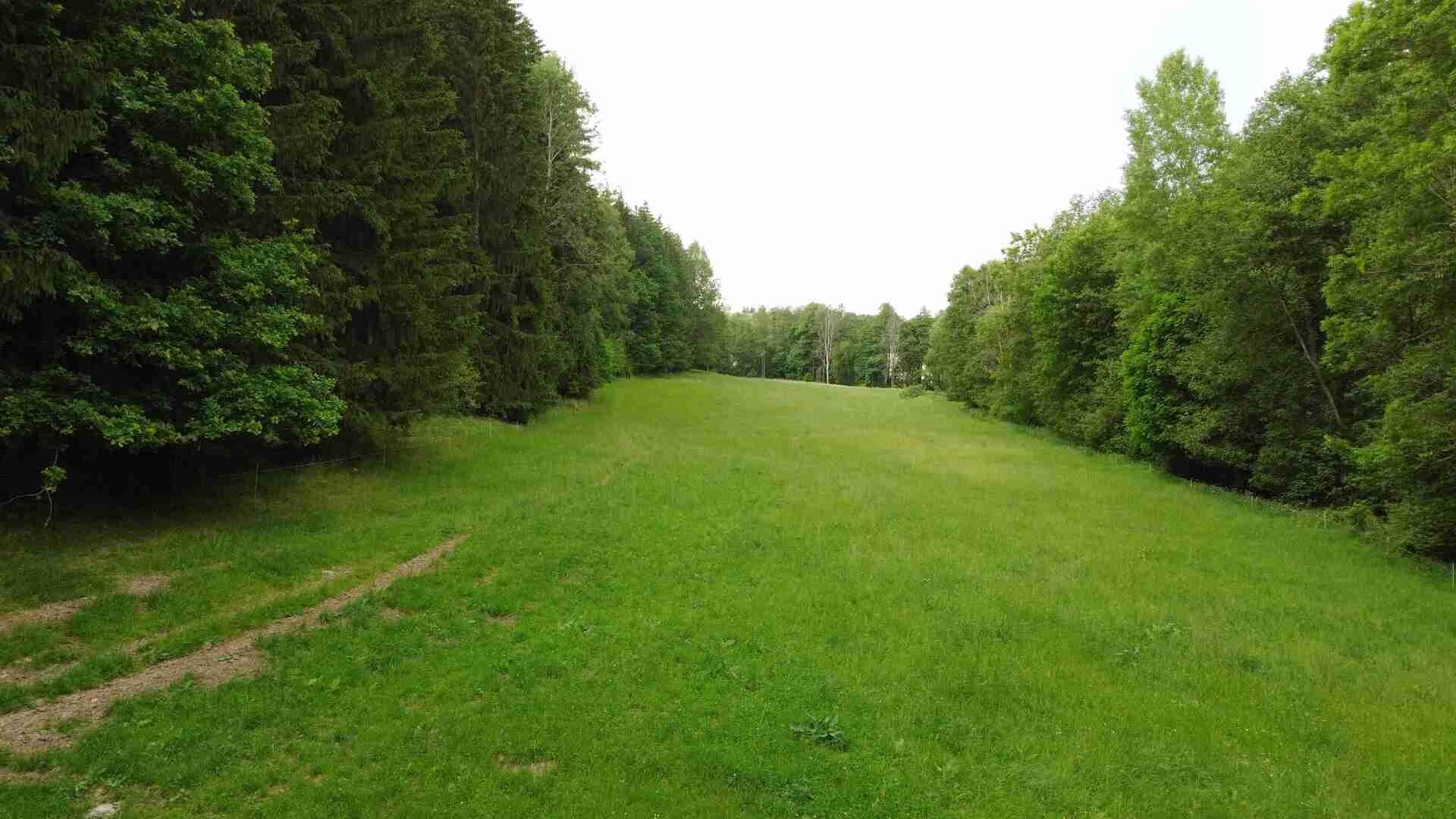 DRAŽBA pozemku Chotěvice