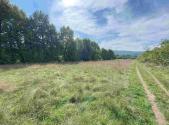 Prodej pozemku, ostatní, 601 m²