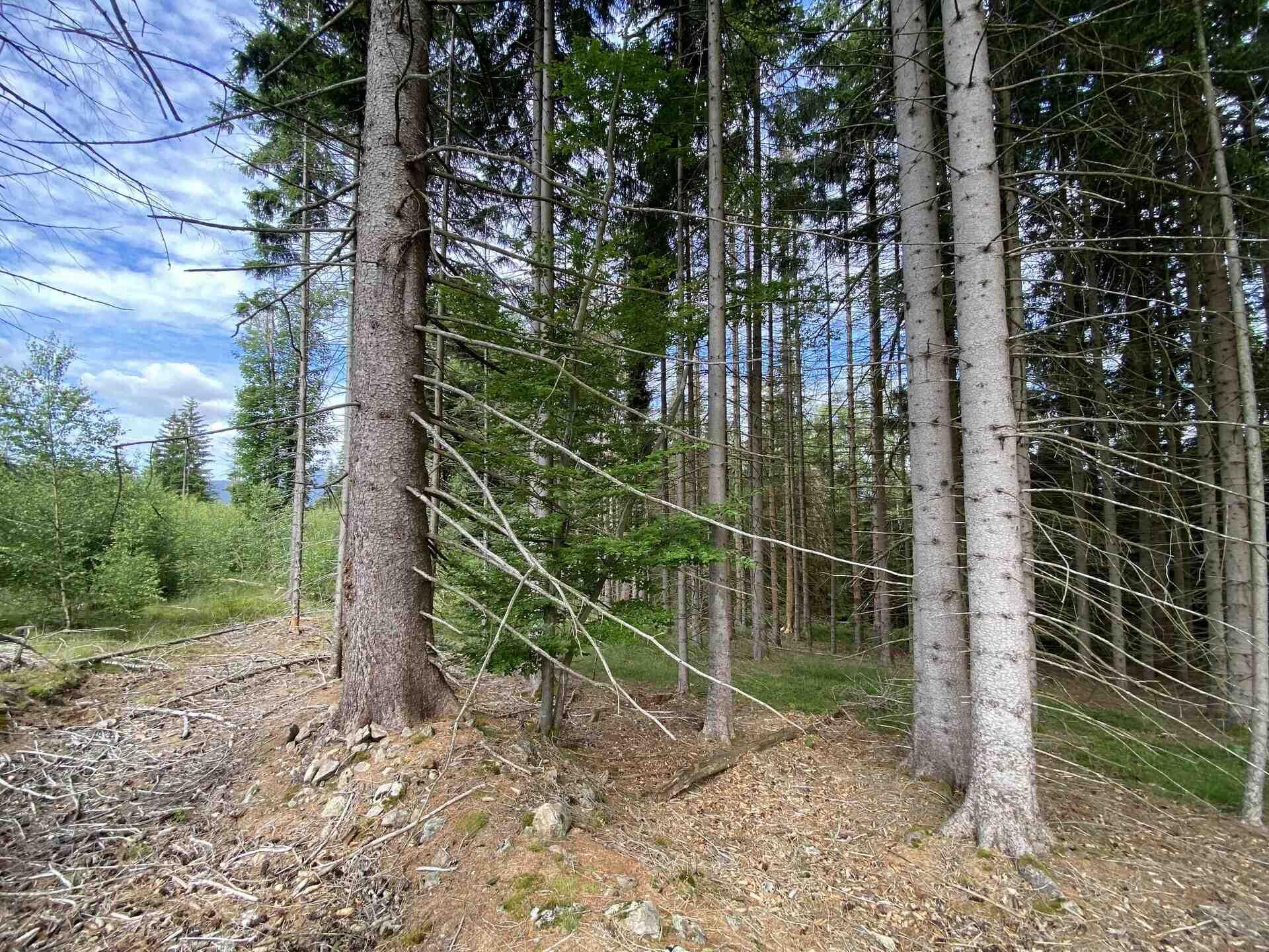 prodej pozemku Železná Ruda